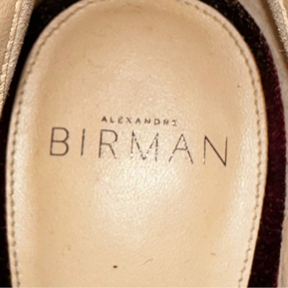 ALEXANDRE Birman Kyle Velvet Mary Jane Block Heels Pumps Burgundy 10 40 - Picture 12 of 13